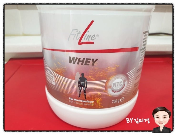  독일 피엠인터내셔널 피트라인 유청단백질 보충제 웨이 FITLINE WHEY PROTAIN 웨이프로틴  건강기능식품