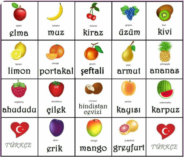[터키어 단어] 과일이름 알아보기! 방구석 터키어 배우기