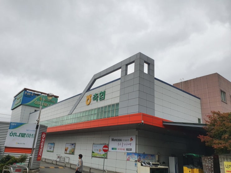  여름에제철인해남축협하나로마트에오시면땅끝해송무화과제철,무화과효능,무화과가격,드셔보세요