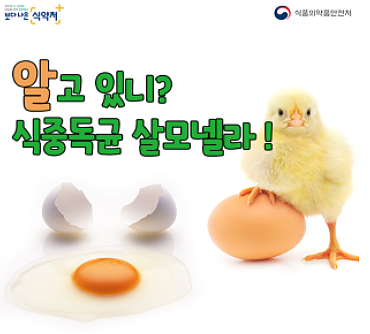  살모넬라균 식중독 예방법 원인 식품은?