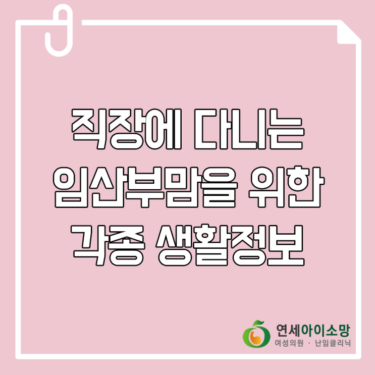  직장에 다니는 임산부맘을 위한 생활정보