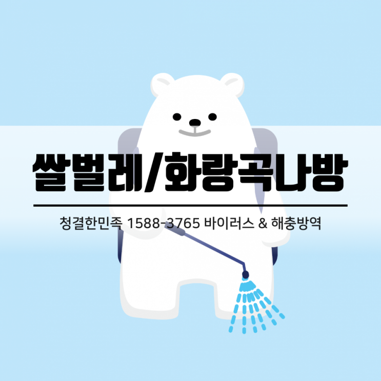  방역업체에서 알려주는 현실적인 쌀벌레 유충, 쌀벌레 나방, 화랑곡나방 퇴치방법