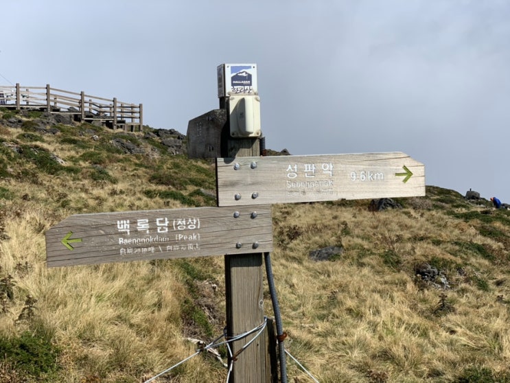 엄마랑 제주도 한라산 백록담 완등하기3 (관음사&gt;성판악 하산코스)