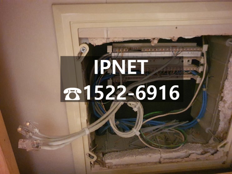  [분당 정자동] 깔끔하고 신속한 랜공사 업체가 고민이라면? IPNET