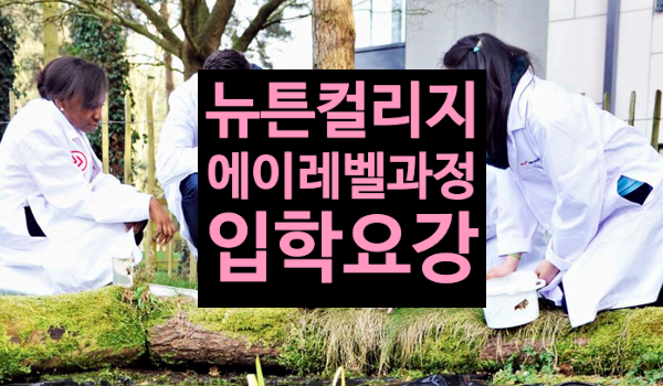  영국 의대 진학 루트 인투 뉴튼 에이레벨 (the Newton A LEVEL Programme)