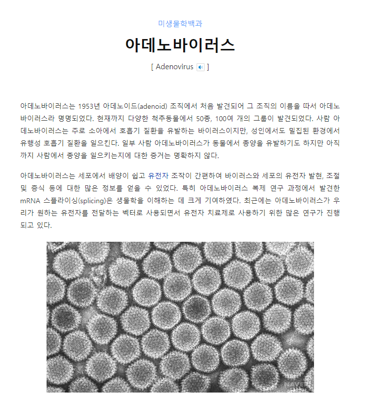러시아백신 관련주 총정리 러시아백신 관련주 총정리