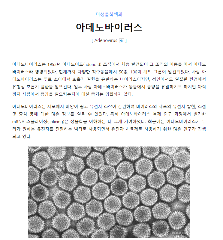 러시아백신 관련주 총정리