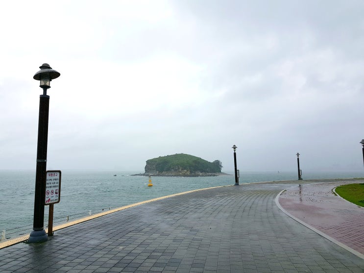  경기도 차박지 바닷가 차박 (배곧 한울공원 vs 시화나래휴게소)