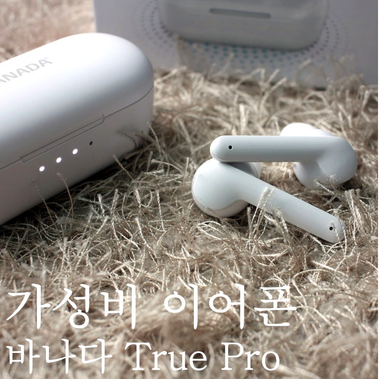  에어팟케이스만 만드는게 아니네! 2만원대 가성비 이어폰 바나다 트루프로