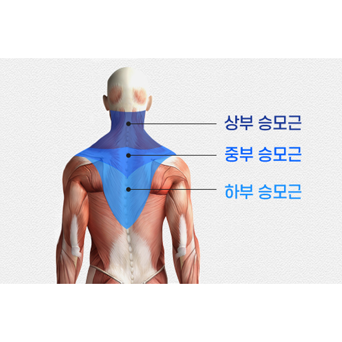 승모근, 상승모근 스트레치(염창헬스, 불창피티, 강서헬스, 강서피티) 3