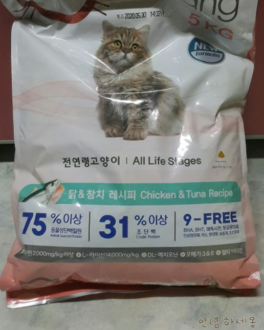  캐츠랑 20kg 캣맘 캣대디의 선택