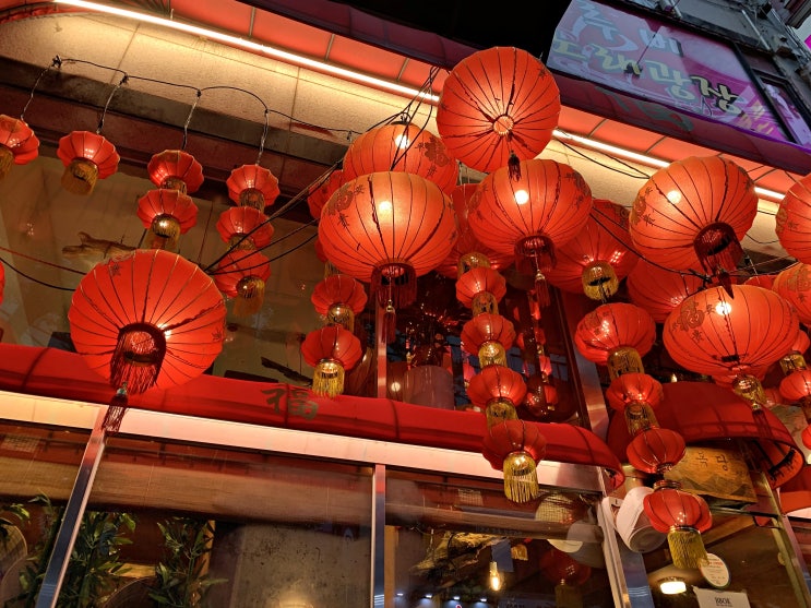 안산 오복당 고잔동 중국대만식당 샤오롱바오 있어요