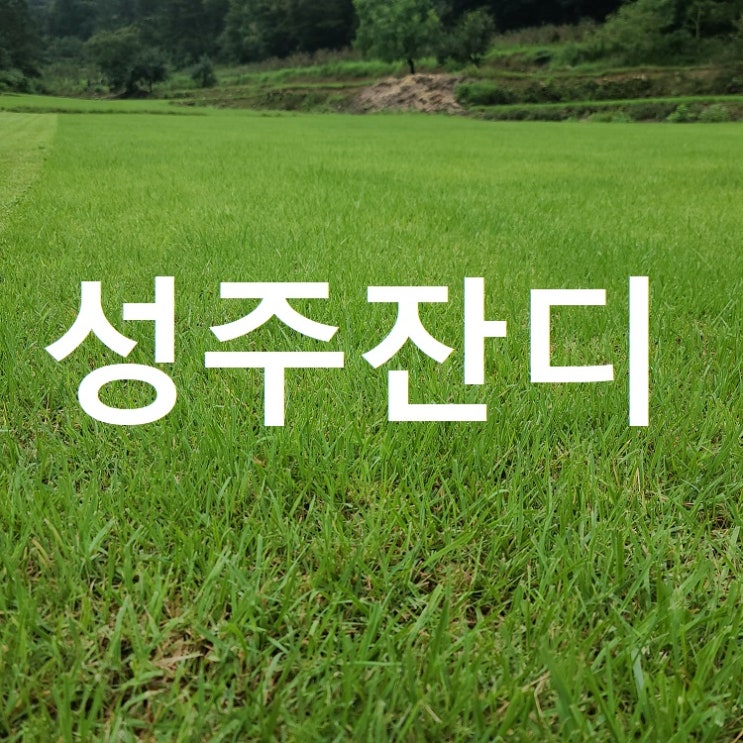  경북 성주에 잔디 보내드렸어요.