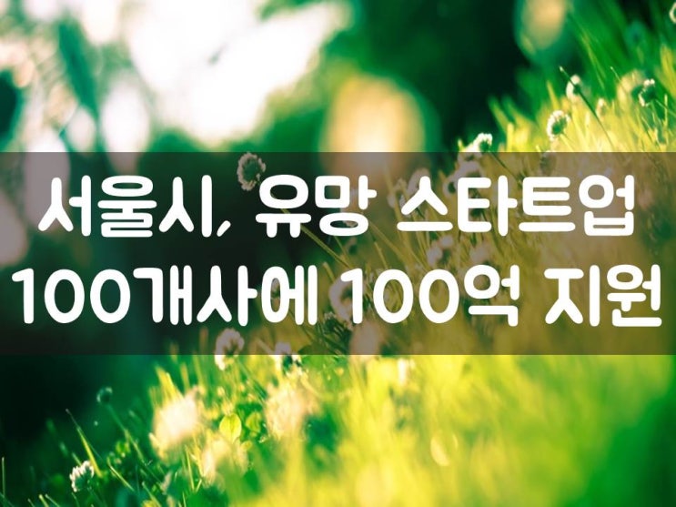  서울시, 유망 스타트업 100개사에 100억 지원