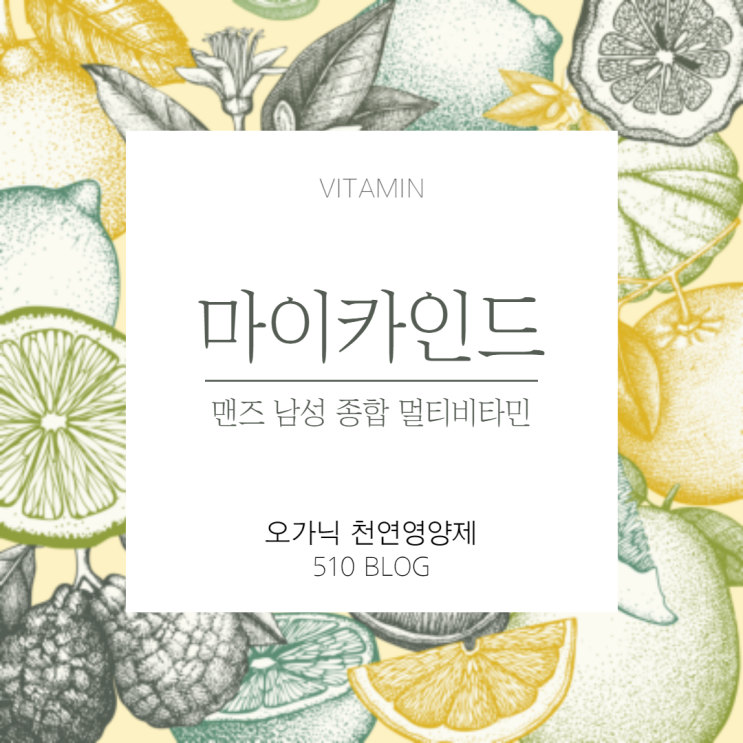  남자비타민 추천 마이카인드 유기농 종합비타민