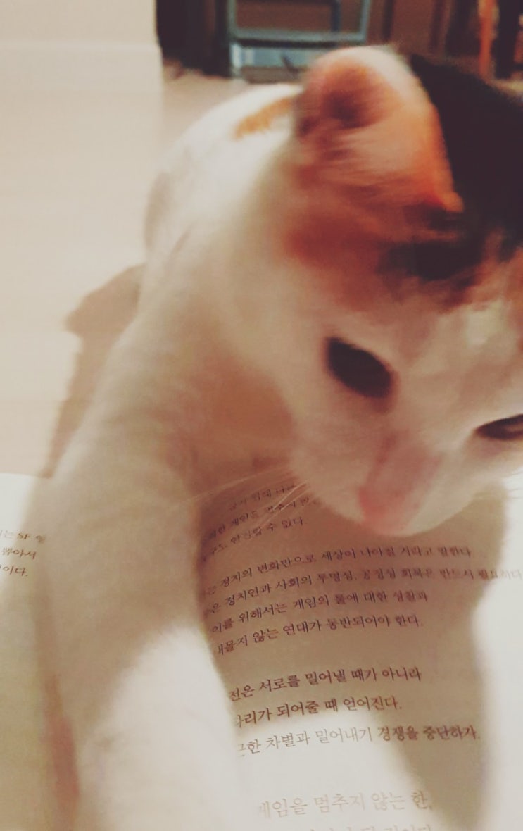  [#005]나랑놀아달라 집사야