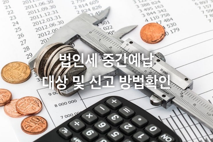  법인세 중간예납 대상 및 신고 방법확인