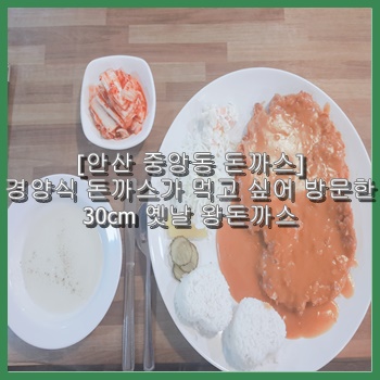  [안산 중앙동 돈까스]경양식 돈까스가 먹고 싶어 방문한 30cm 옛날 왕돈까스