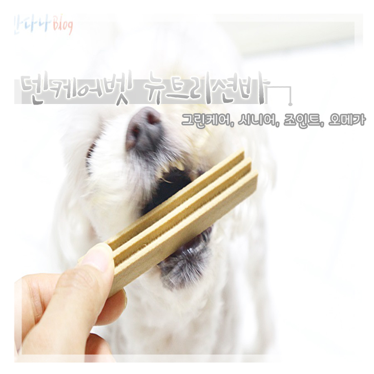  강아지 껌 에스틴 덴케어벳 구강케어와 함께 노령견간식으로도 OK
