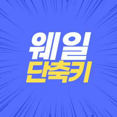  웨일에서 쓰는 단축키를 알아보자(화면캡쳐,시크릿모드 포함)