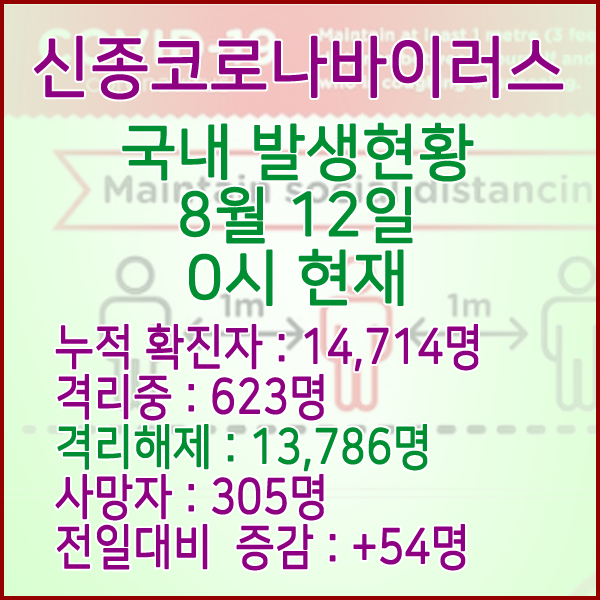  코로나19(코로나바이러스) 8월 12일 0시 국내(해외포함) 발병 14,714명 / 13,786명 완치 격리해제 / 사망자 305명