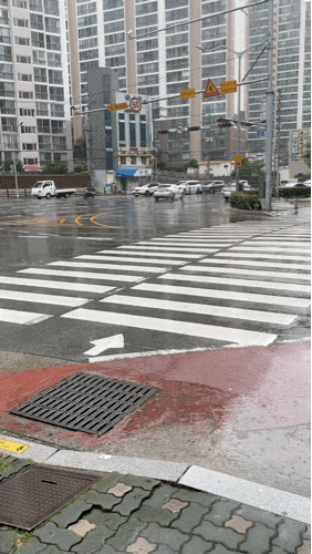•부산날씨• 오늘 8월 12일 오후 1시 부산날씨