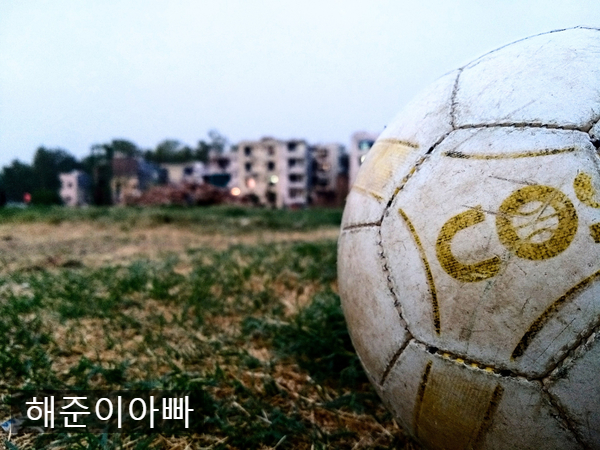 윌프리드 자하는 챔피언스 리그에서 뛰어야 한다