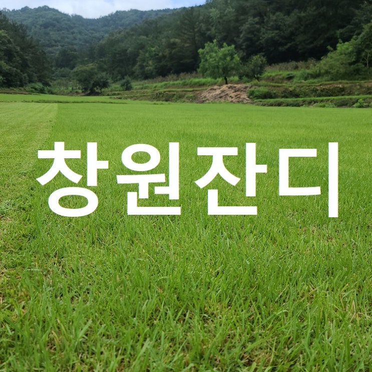 경남 산업 경제의 중추 창원에 잔디 배달했어요