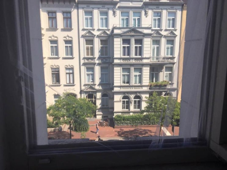 독일 창문 셀프 방충망 붙이기_나도 방충망 설치해봤다!