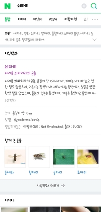  쇠파리 소동