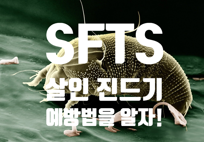  SFTS .. 이건 또 뭐야 도대체..살인진드기(의료진 여러분 정말 대단하십니다ㅠ_ㅠ)