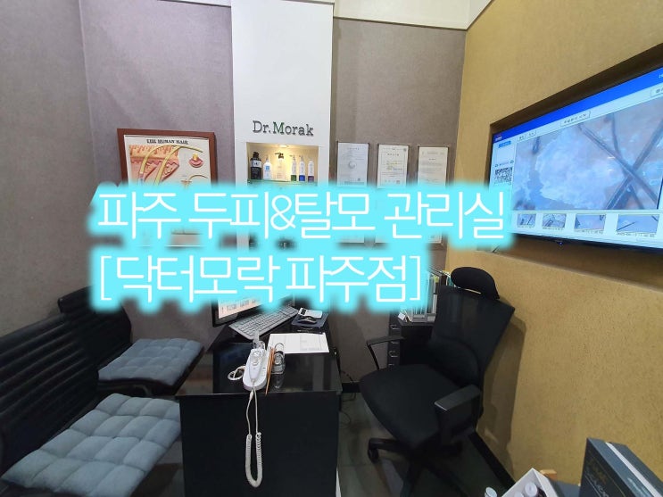  파주 탈모 두피 관리  [닥터모락]