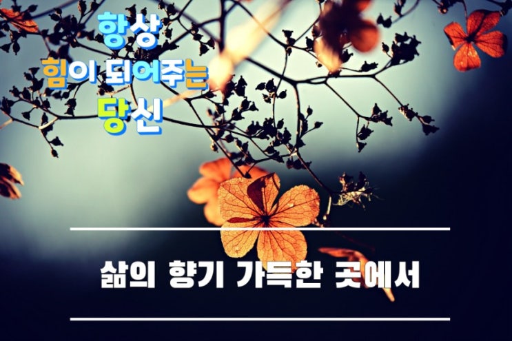  삶의 향기 가득한 곳에서