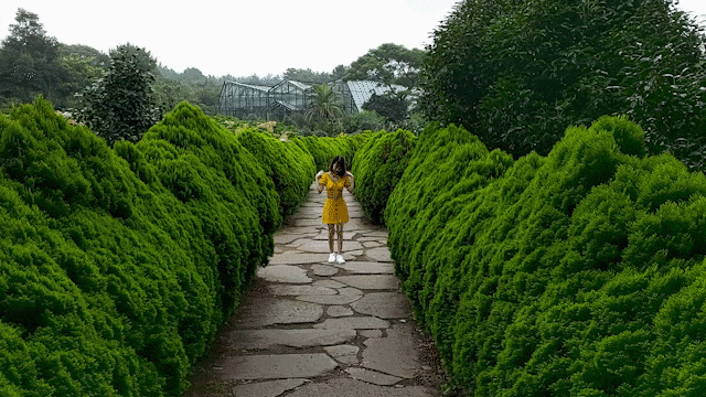 인생샷을 원하는가? 제주도 카멜리아힐 인생샷을 원하는가? 제주도 카멜리아힐