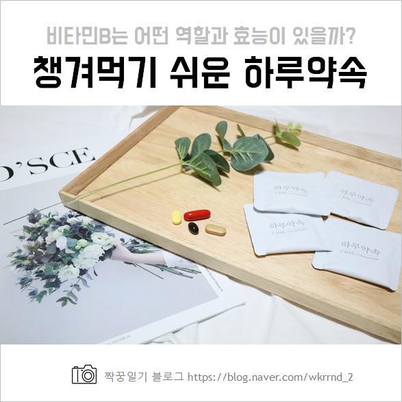  챙기기 쉬운 예쁜 영양제 하루약속 :: 비타민B 효능과 역할
