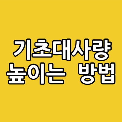  떨어진 기초대사량 높이는 방법은? (& 기초대사량 계산기)