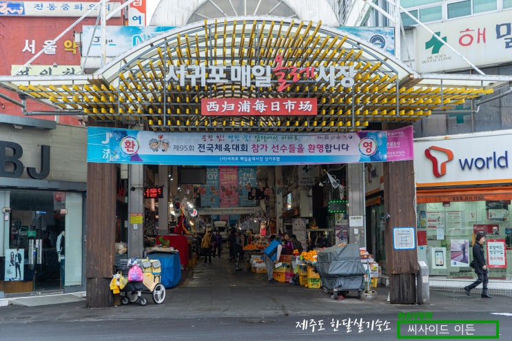  회도 사고 떡도 사고 "서귀포매일올레시장&이중섭거리" [제주도 한달살기 숙소 씨사이드 이든 추천]