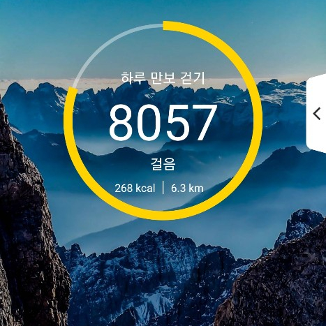  건강프로젝트] 74일차 6000보 이상 걷기 성공