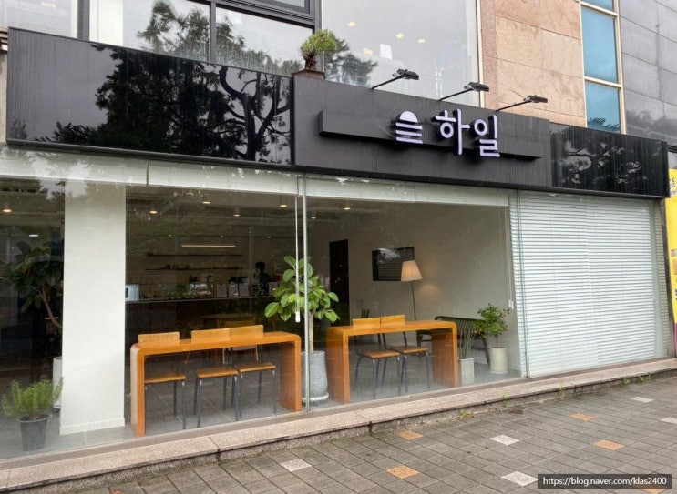  [청주 성안길] 하일 -푸들과 함께했던 카페, 비건 빵집!