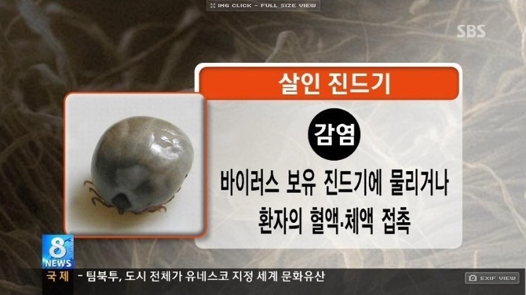  살인진드기 물려 응급실서 피 토한 환자…의료진 집단감염
