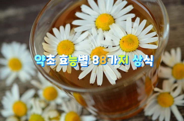 약초 효능별 88가지 상식 약초 효능별 88가지 상식
