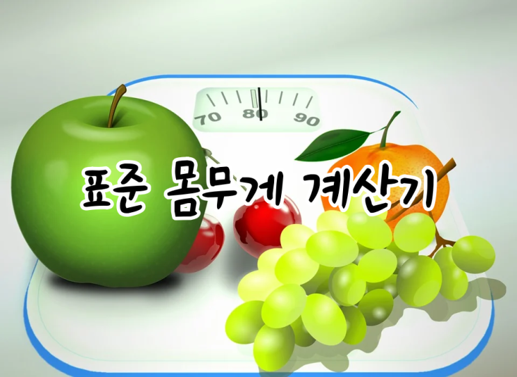  표준몸무게(+체중) 계산기 나는 비만일까 정상일까