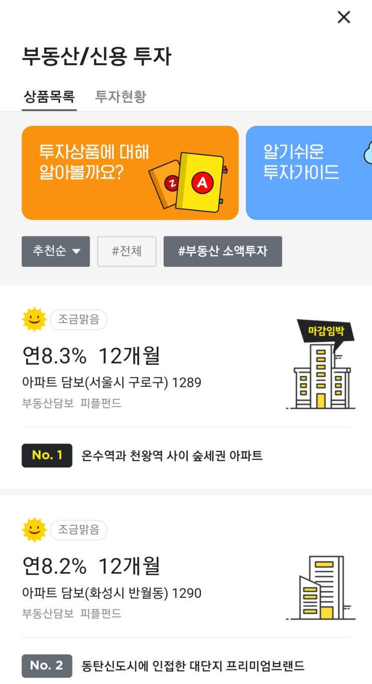  (금융, 카카오페이) 가장 손쉬운 직장인 재테크<부동산 소액 투자>