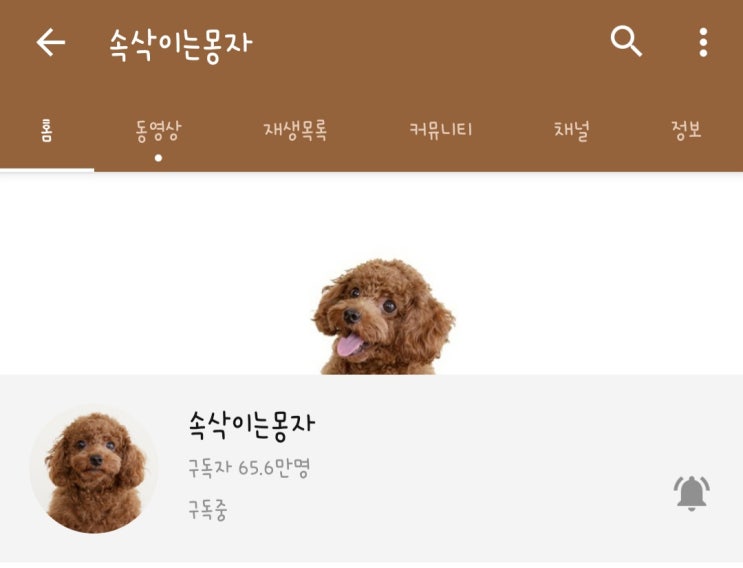  유튜버 몽자