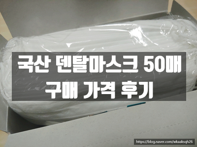  [덴탈마스크]국산 덴탈마스크 50매 구매 후기/BD-SAFETY/3중 필터 일회용 밴드마스크/보따리 마스크/3만원대 마지막 주문했어요