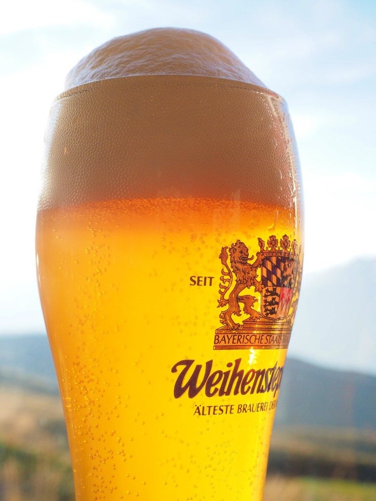  바이젠(weizen) 밀맥주 마셔봤을걸요?