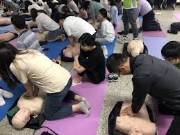 심폐소생술CPR 응급약물 3편 : 리도카인 소듐 Digoxin NaCl KCl  효능부작용사용법