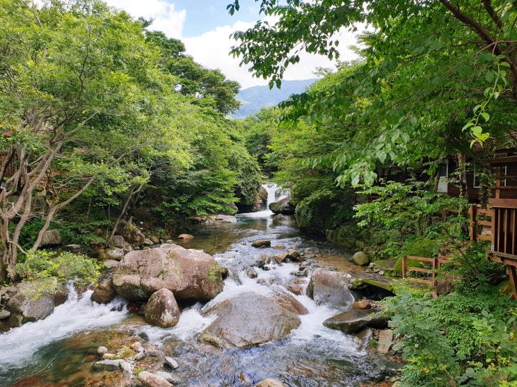  경남 산청 펜션 추천: 여름휴가는 지리산계곡 앞 '청학펜션'에서 물놀이 즐겨요~