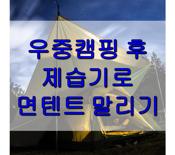 우중캠핑 후 위닉스 제습기로 안나한 면텐트 말리기